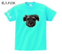 Tシャツ・カットソー