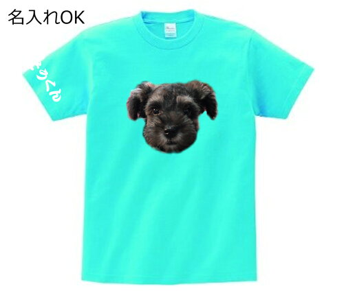 1枚からOK　オーダーメイドTシャツ！名入れ可能　セミオーダーメイド ...