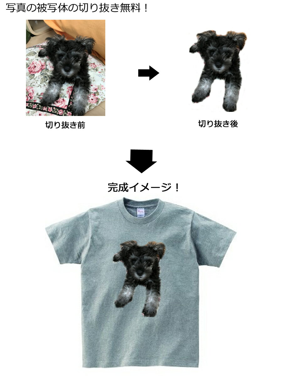 ���ߥ��������ᥤ�� ���ꥸ�ʥ�ưʪT����� ��50�� 100-4L��������̾�����ǽ��