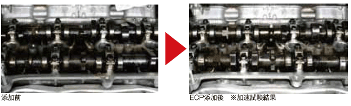 WAKO��S / WAKOS / �拾�������ٸ������󥸥��������������� ECP / e���꡼��ץ饹 �ڥ�����ź�úޡۡڥ��ƥʥ󥹡�