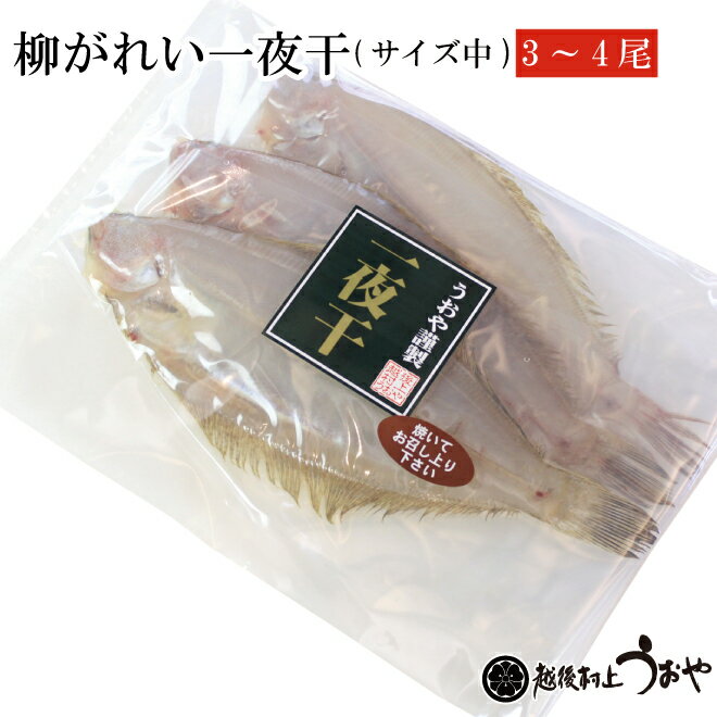 新鮮な日本海産の柳鰈を一夜干しにしたもので淡泊で上品な味が特徴です。 お膳にも程よく映える20cmほどの大きさで、うおや自慢の逸品です。 原材料 柳がれい(国内産)、食塩、合成清酒（醸造アルコール、米、米麹、糖類）／調味料(アミノ酸等)、酸味料)、真昆布(北海道産) 内容量 中サイズ3~4尾 保存方法 冷蔵保存の場合：5℃以下、冷凍保存の場合：-18℃以下 賞味期限 冷蔵7日：冷凍60日 配送形態 クール冷凍便（冷凍できない商品と同梱の場合は冷蔵便でお届けいたします） 栄養成分表(100g当たり) 熱量113kcal　タンパク質22.4g　 脂質2.0g　炭水化物1.4g　 食塩相当量2.1g ※冷凍でお届けの場合は冷蔵庫にうつし自然解凍で。 　解凍後、焼いてお召し上がりください。引き締まった身にさらに旨みを蓄える旬の新鮮な柳鰈を 絶妙な塩加減で一夜干しにしました。 頭から尻尾の全長は20cm位。 あっさりした塩味が好まれ、リピーターが多い 大変人気のある商品です。 柳鰈はカレイ類の中でも細長い形をしており、 味がとりわけ淡白なのが特徴の高級魚。 新潟北部は柳鰈の水揚げが多く良質の魚場となっています。 ●柳カレイのお召し上がり方 　　日本海産のとれたての柳がれいをひと塩し、一夜干にしてあります。 　　焦がさぬよう焼いてお醤油をかけお召し上がりください。 ●柳カレイの保存 　　保存は冷凍庫で長期保存が可能です。 &nbsp;&nbsp;&nbsp; お召し上がりの際は冷凍したまま焼いてお召し上がりください。 知る人ぞ知る　柳都の香り 端正にして、上品　 柳都・新潟の　越後柳カレイ