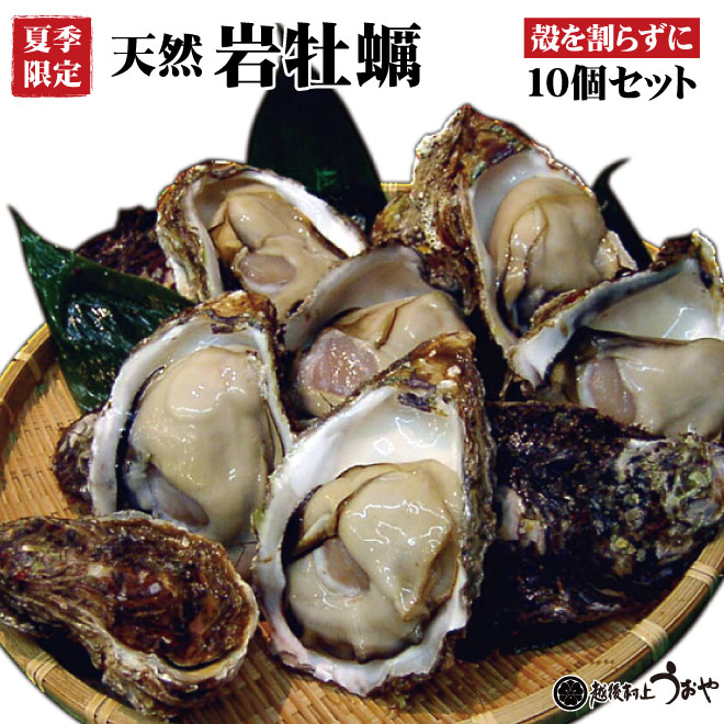【日本海産】天然岩牡蠣10個セット《殻を割らずにお届け》
