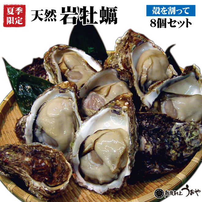 夏季限定【日本海産】天然岩牡蠣（割ってお届け）8個セット