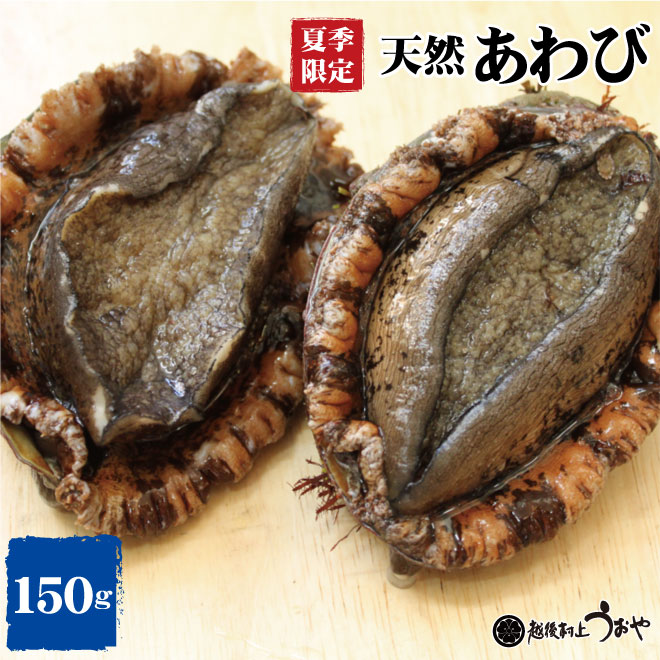 【日本海産】天然あわび（150g）