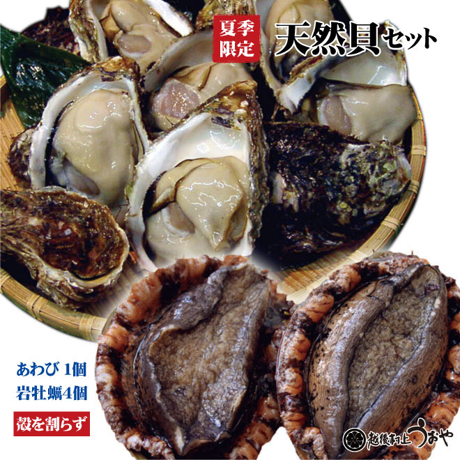 樂天商城 - 天然貝セットA【岩牡蠣4個〈殻を割らずに〉、あわび1個】
