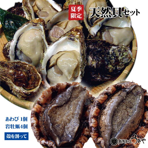 天然貝セットA【岩牡蠣4個〈殻を割って〉、あわび1個】 天然貝セットA【岩牡蠣4個〈殻を割って〉、あわび1個】