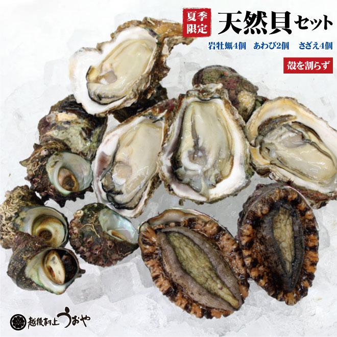 Rakuten - 天然貝セットC【岩牡蠣4個〈割らずに〉、アワビ2個、サザエ4個】