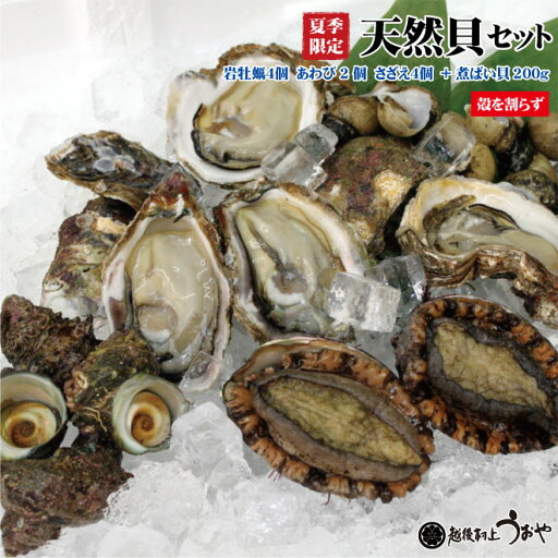 天然貝セットC+b【岩牡蠣4個(殻を割らずに)、あわび2個、さざえ4個、煮バイ貝200g】 天然貝セットC+b【岩牡蠣4個(殻を割らずに)、あわび2個、さざえ4個、煮バイ貝200g】