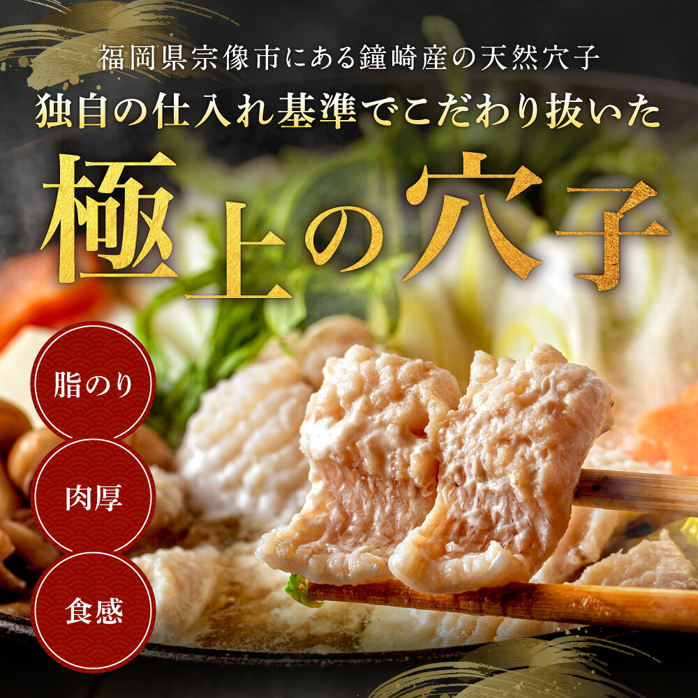 鐘崎産天然穴子鍋セット(2〜3人前)【魚住商店】水揚げ量県内一位