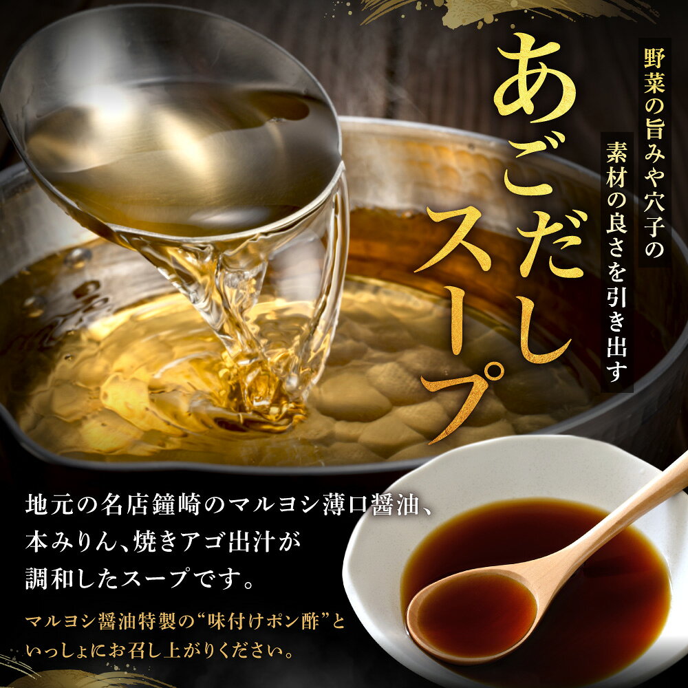 鐘崎産天然穴子鍋セット(2〜3人前)【魚住商店】水揚げ量県内一位