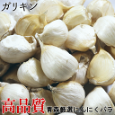 令和7年度産!! にんにく 青森 バラ 250g・500g 送料無料正規品 国産 ニンニク 福地ホワイト六片種無添加 産地直送 青森 厳選 高品質 大粒混合にんにくレシピ 黒にんにくにも!【ガリキン】1180円~
