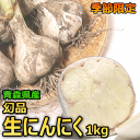 即日発送中【発売初年度記念価格!!】青森県産 生にんにく 1kg【にんにく 青森】【にんにく 国産】【にんにく 1kg】【にんにく 青森 1kg】新物 青森県産 生にんにく にんにく レシピ醤油漬けで保存にも 収穫時期もうすぐ