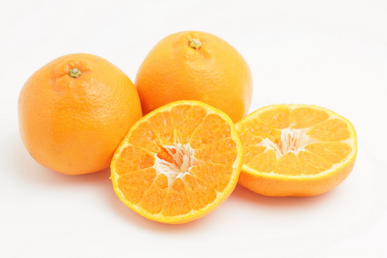 訳あり はるみ みかん 和歌山県産 ご家庭用 箱込10kg