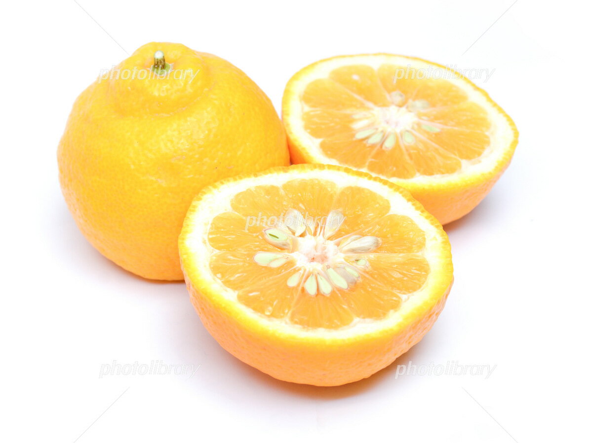 訳あり 三宝柑 和歌山県産 ご家庭用 箱込4kg