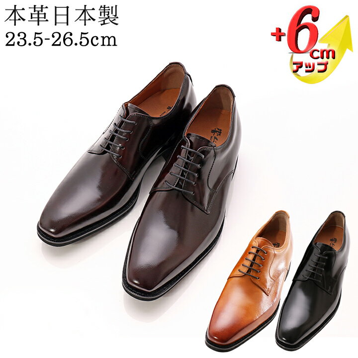 楽天市場】本革（カラーパープル）（ビジネスシューズ｜メンズ靴）：靴 