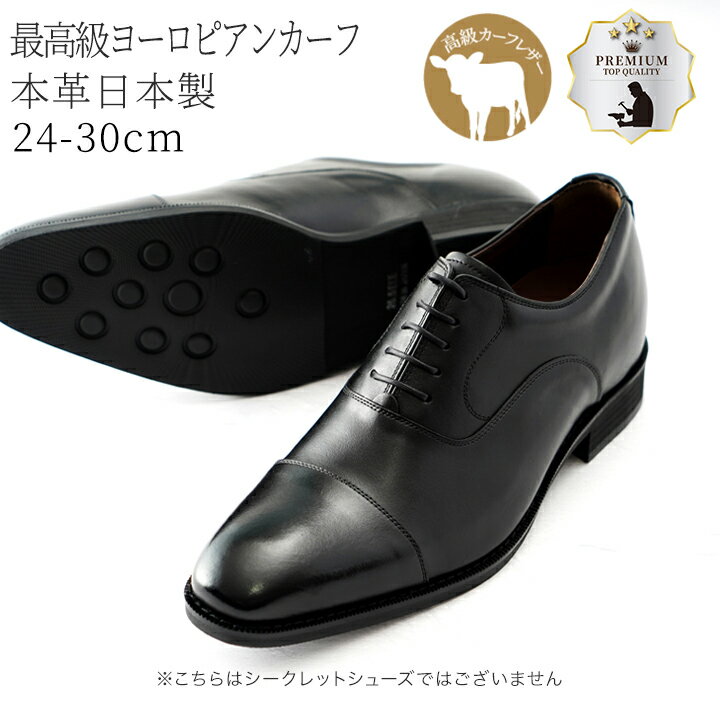 ビジネスシューズ 24cm〜30cm 大きなサイズ 本革 革靴 国産 日本製 内羽根 ストレートチップ 3E 牛革 ..