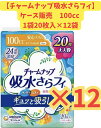 チャームナップ　100cc 多くても安心用 20枚×12袋セット