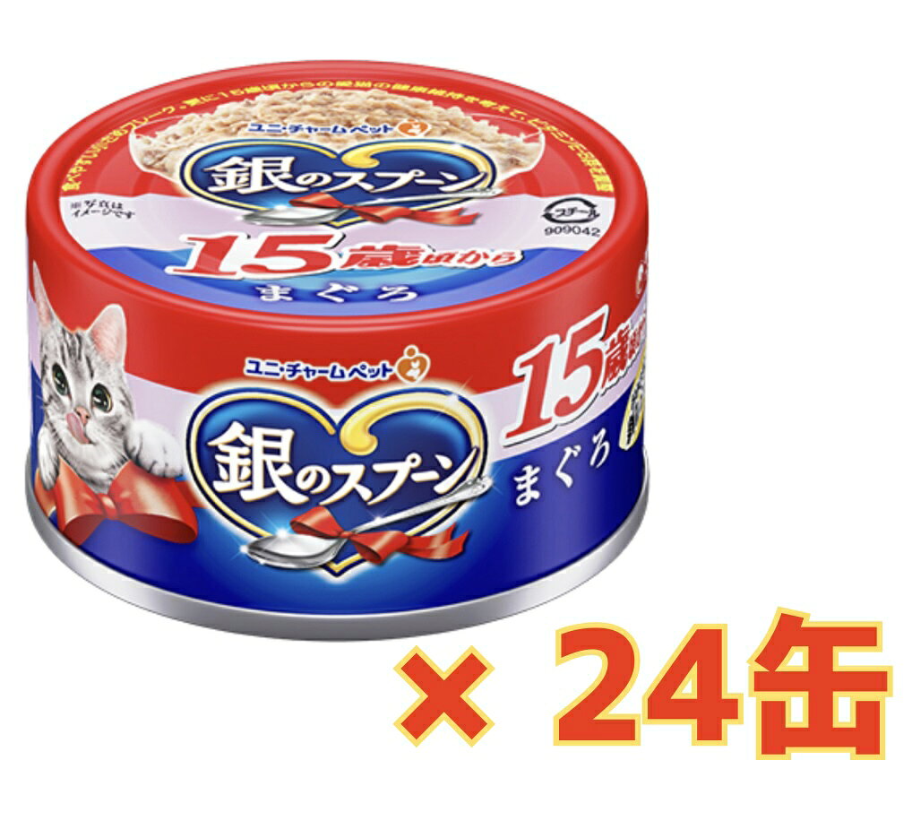 銀のスプーン 缶 15歳以上