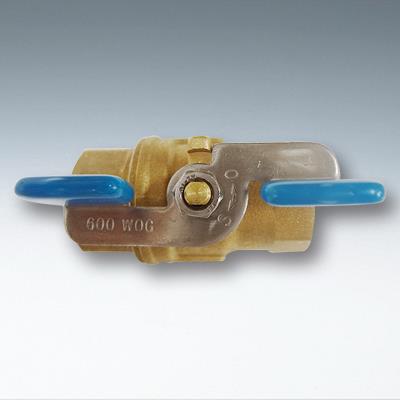 フローバル 【形式：G06W-08 商品コード：01200405】 フルボア型 G06W-08 1