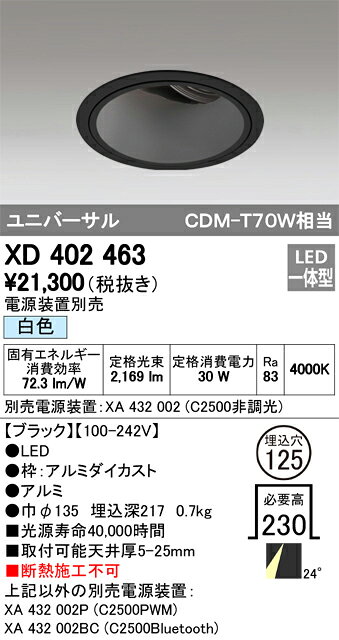 オーデリック 店舗・施設用照明 テクニカルライト ダウンライト【XD 402 463】XD40...