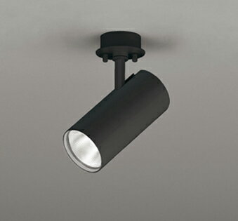 オーデリック スポットライト 【OS256556R】【OS 256 556R】(3)