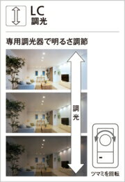 オーデリック ダウンライト 【OD361426LC】【OD 361 426LC】 [3]