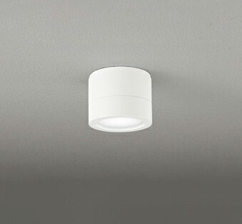 オーデリック エクステリア・ポーチライト 【OG264062WR】【OG 264 062WR】