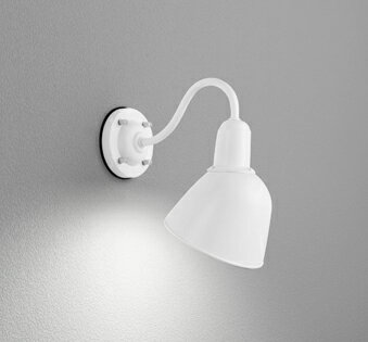 オーデリック エクステリア ポーチライト 【OG254675NR】 【OG 254 675NR】