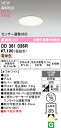 オーデリック エクステリアライト 【OD361036R】【OD 361 036R】