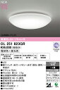 オーデリック シーリングライト 【OL251823GR】【OL 251 823GR】