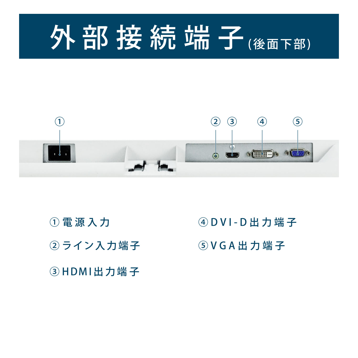 【ポイント5倍】EPSON LD24W85L ...の紹介画像3