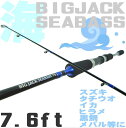 海専用ルアーロッド BIGJACK SEABASS7.6FT ライトシーバス エギング メバリング ロックフィッシュ等に ソルトルアー 竿 ボートフィッシング ボートエギング ss12