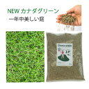 西洋芝 種 混合 1袋 944g おすすめ 芝 密集推奨20平方メートル 最大90平方メートル 芝生の種 オールシーズン NEWカナダグリーン 天然芝生 緑芝 ...