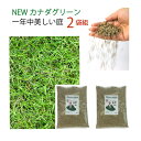 【2袋組】 西洋芝 種 混合 1袋 944g おすすめ 芝 全袋使用で密集の場合 推奨40平方メートル 最大180平方メートル 1袋あたり価格6710円 芝生の...