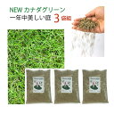 【3袋組】 西洋芝 種 混合 1袋 944g おすすめ 芝 全袋使用で密集の場合 推奨60平方メートル 最大270平方メートル 1袋あたり価格6563円 芝生の...