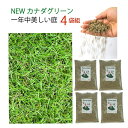 【4袋組】 西洋芝 種 混合 1袋 944g おすすめ 芝 全袋使用で密集の場合 推奨80平方メートル 最大360平方メートル 1袋あたり価格6510円 芝生の...
