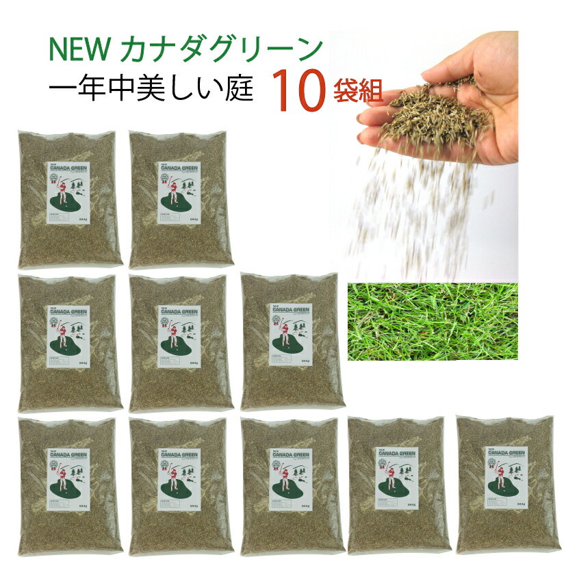 【10袋組】 西洋芝 種 混合 1袋 944g おすすめ 芝生 種 芝 全袋使用で密集の場合 推奨200平方メートル 最大900平方メートル 1袋あたり価格6361円 芝生の種 オールシーズン NEWカナダグリーン 天然芝生 緑芝 洋芝 ミックス 約1kg 種子 ガーデングラス