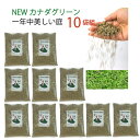【10袋組】 西洋芝 種 混合 1袋 944g おすすめ 芝生 種 芝 全袋使用で密集の場合 推奨200平方メートル 最大900平方メートル 1袋あたり価格63...