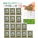 【15袋組】 西洋芝 種 混合 1袋 944g おすすめ 芝 全袋使用で密集の場合 推奨300平方メートル 最大1350平方メートル 1袋あたり価格6095円 ...