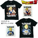 【DRAGONBALL Z】ドラゴンボールZ スーパーサイヤ人 悟空/ベジータ Tシャツ ［限定完売モデル］なりきり 半袖 S/STEE メンズ レディース S〜LL 大人用 超サイヤ人 ハロウィーン ジャンプ dragonballz-22833885/22833886