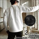 【送料無料】【ポイント10倍】バック 刺しゅう メンズ 英文字 ロゴ カット スウェード タッチ 長袖 Tシャツ スエード 起毛 光沢感 ユニセックス ジェンダーレス 男女兼用 白 黒
