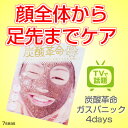 ■ 炭酸革命 ■ ガスパニック 4set 炭酸パック ガスー...