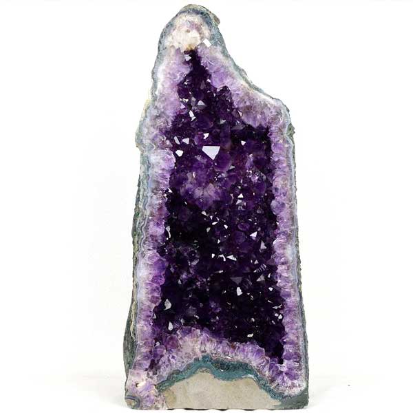 �ڷ�쥢�����̥����Ȳù�̵���۽�ŷ�� ���᥸���ȥɡ��� ���ڡ��� �������� ����20.48kg�� �֥饸�롦�ꥪ�����ǥɥ��뽣����ƥ������ɥ��뻺 ��徽��...