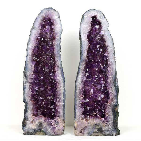 ���ڥ��ɡ��ࢡ�ڷ�쥢�����̥����Ȳù�̵���۽�ŷ�� ���᥸���ȥɡ��� ���ڡ��� �������� ����16.68kg(2�ܹ��)�� �֥饸�롦�ꥪ�����ǥɥ��뽣����...