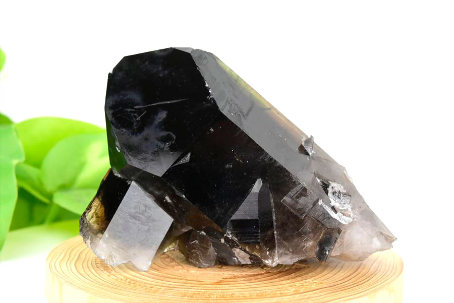 ■アーカンソー州産■黒水晶 スモーキークォーツ クラスター ポイント 原石 ◆現物画像◆ 【約297g】アーカンソー産｜水晶｜スモーキークォーツ｜クリスタルクラスター｜群晶｜原石｜天然石｜パワーストーン ■39ショップ■50