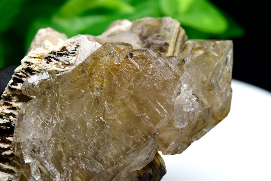 スモーキー アリゲータークォーツ ジャカレー水晶■ブラジル・ミナスジェライス州アラスアイ産■【約664.5g】ブラジル産｜アリゲータークォーツ｜ジャカレー｜エレスチャル｜ワニ水晶｜天然石｜パワーストーン｜ ■39ショップ■47