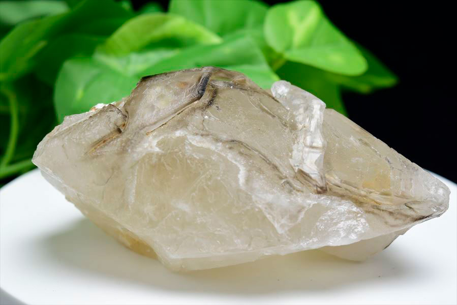 スモーキー アリゲータークォーツ ジャカレー水晶■ブラジル・ミナスジェライス州アラスアイ産■【約909.5g】ブラジル産｜アリゲータークォーツ｜ジャカレー｜エレスチャル｜ワニ水晶｜天然石｜パワーストーン｜ ■39ショップ■47