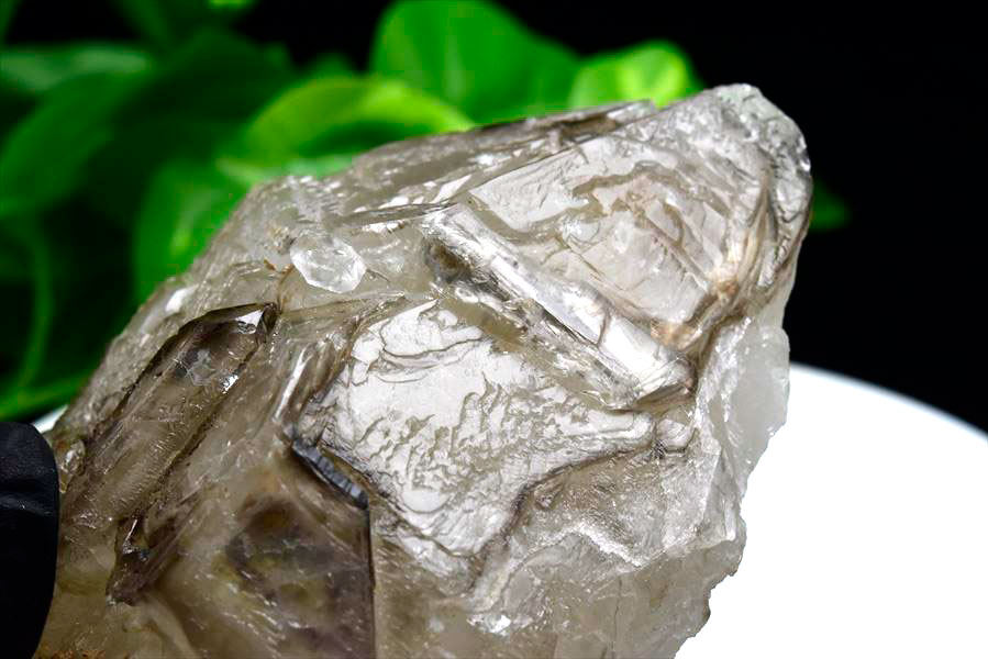 スモーキー アリゲータークォーツ ジャカレー水晶■ブラジル・ミナスジェライス州アラスアイ産■【約909.5g】ブラジル産｜アリゲータークォーツ｜ジャカレー｜エレスチャル｜ワニ水晶｜天然石｜パワーストーン｜ ■39ショップ■47