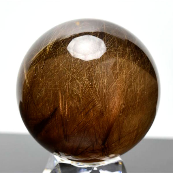 ����62mm� �����Ϥ��ľ͢�� ������ɥ���륯������ ����� �ݶ� ���ե����֥饸�롦�Х����������Ρ��������꥾��ƻ��å�����������å���륯�����ġå�...