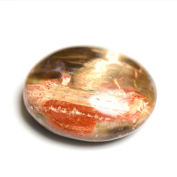 ペトリファイドウッド 珪化木 パームストーン 握り石 マダガスカル産  約...